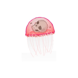 Red Skull Jellyfish